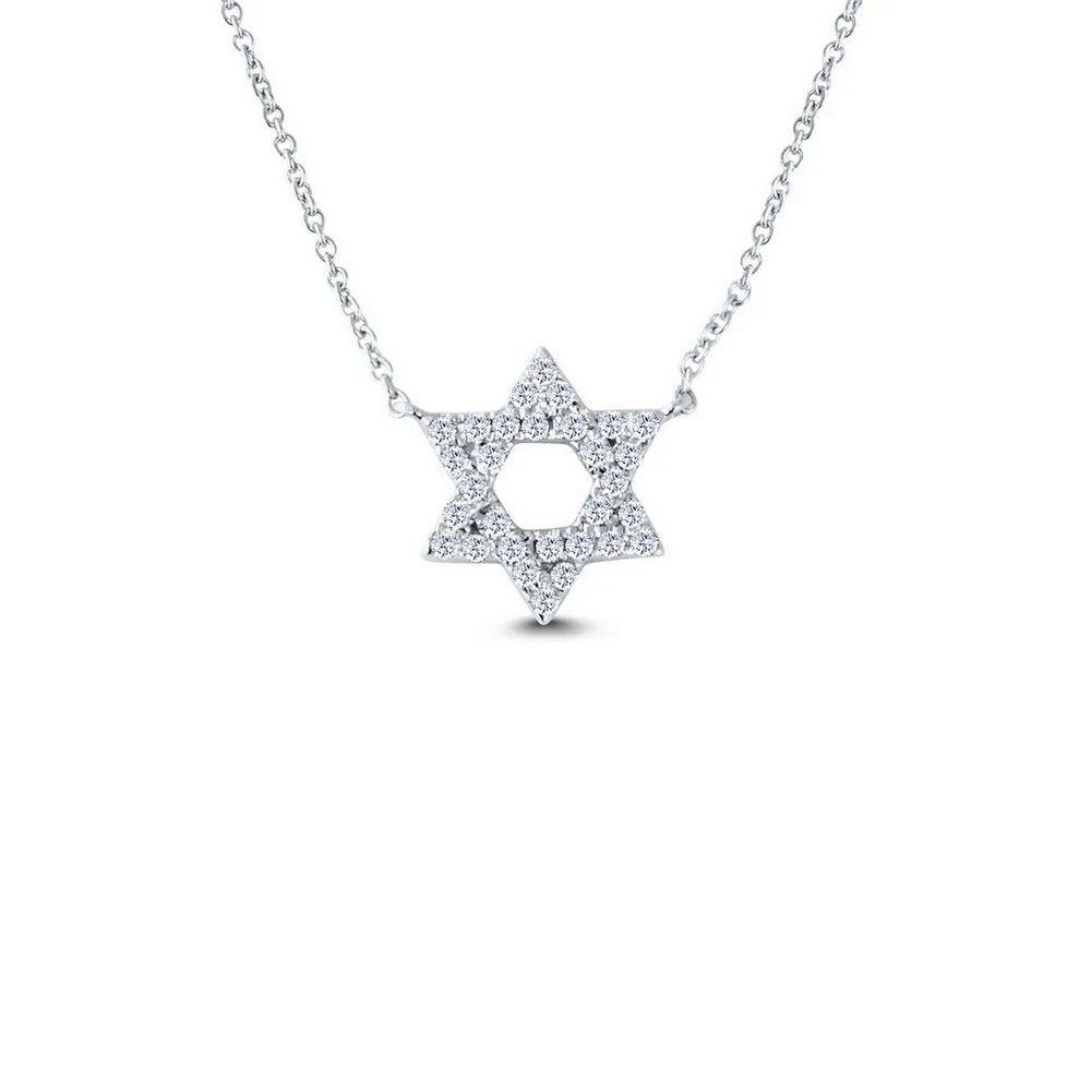 14K STAR OF DAVID NK  (151N0067)