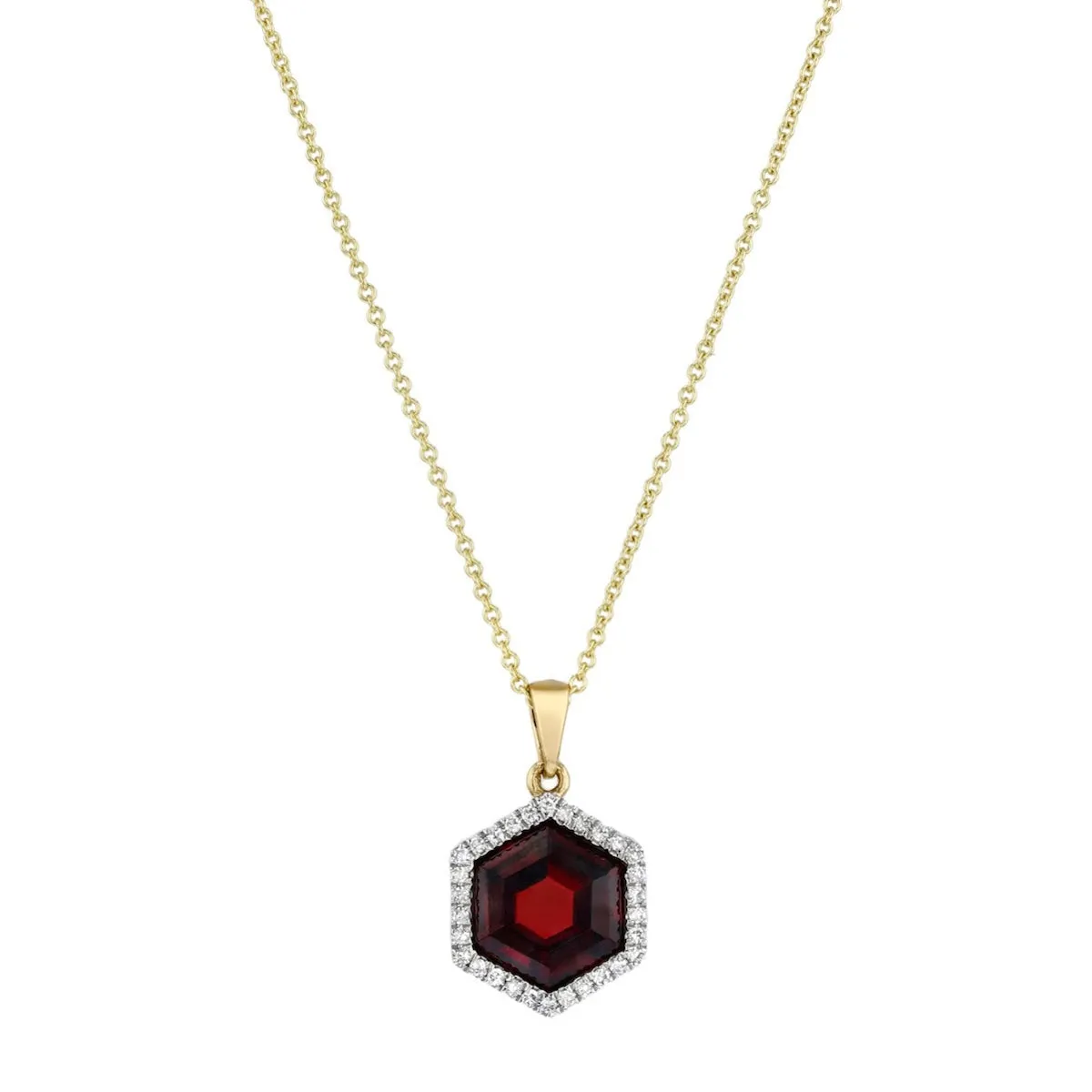 Bijou Collection 2.71ct Garnet Hexagonal with Diamond Halo Necklace | 9K Yellow Gold