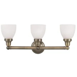 Livex Classic 3 Light Antique Brass Bath Light - C185-1023-01