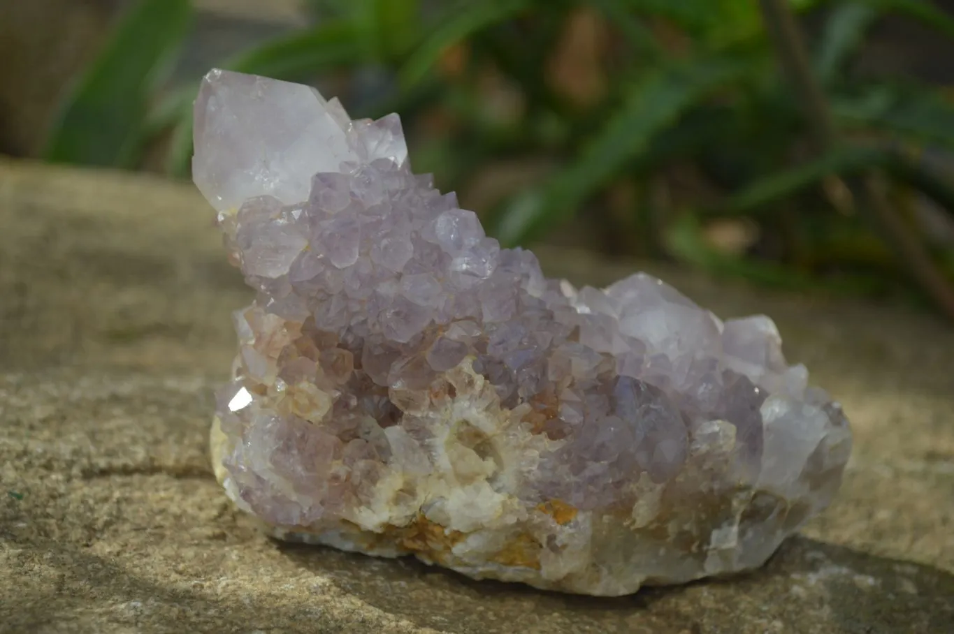 Natural Large Spirit Ametrine Quartz Specimens x 3 From Boekenhouthoek, South Africa