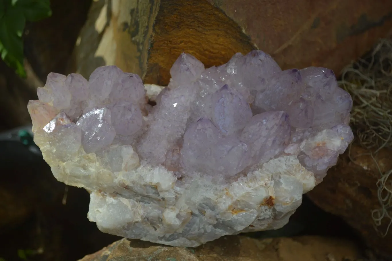 Natural Large Spirit Ametrine Quartz Specimens x 3 From Boekenhouthoek, South Africa