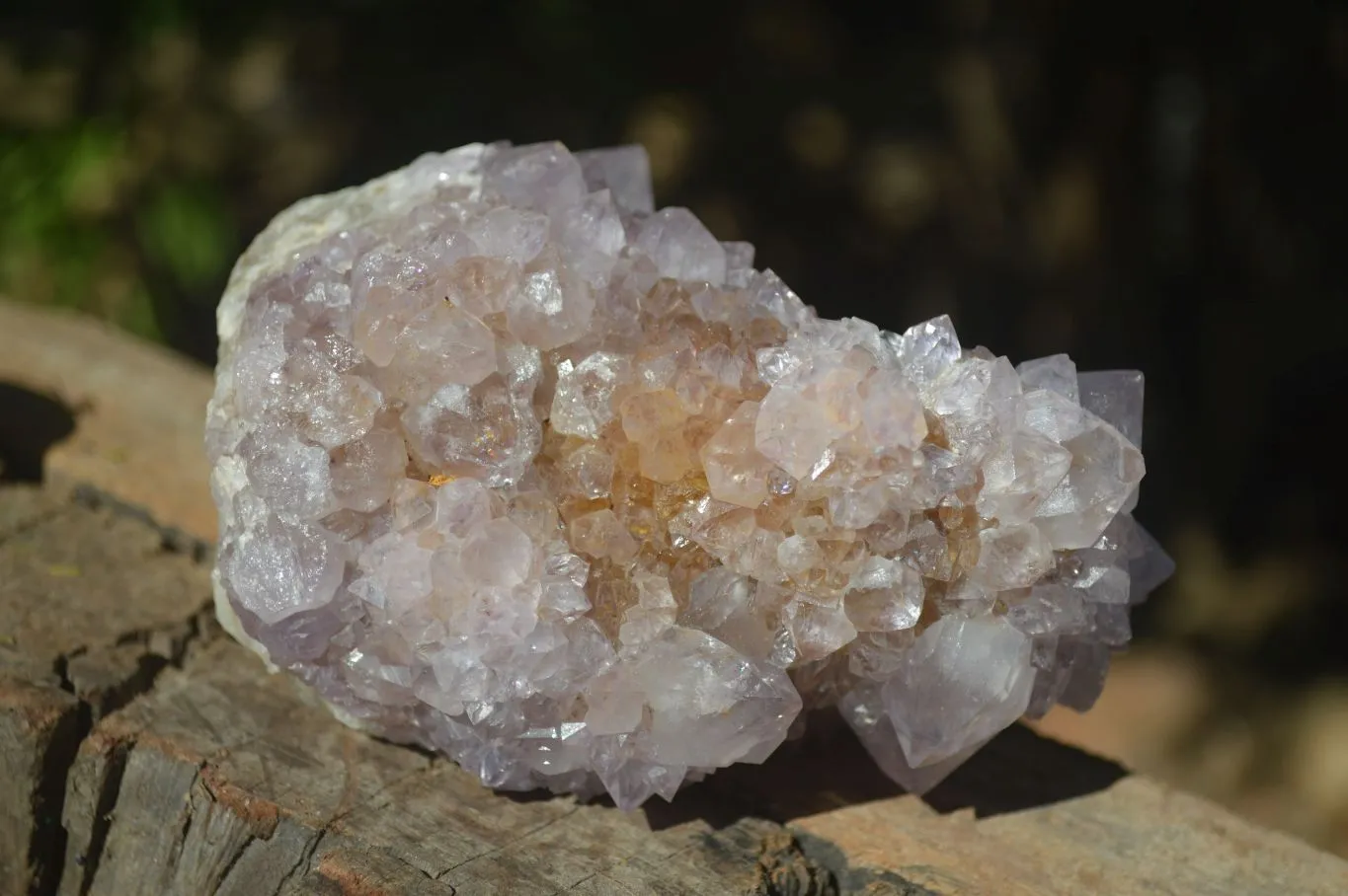 Natural Large Spirit Ametrine Quartz Specimens x 3 From Boekenhouthoek, South Africa