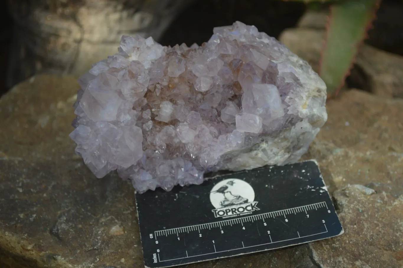 Natural Large Spirit Ametrine Quartz Specimens x 3 From Boekenhouthoek, South Africa