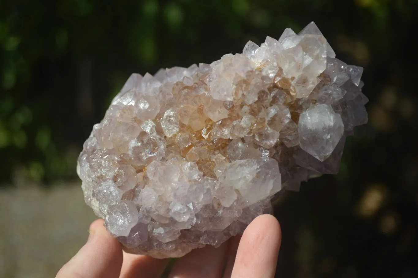 Natural Large Spirit Ametrine Quartz Specimens x 3 From Boekenhouthoek, South Africa