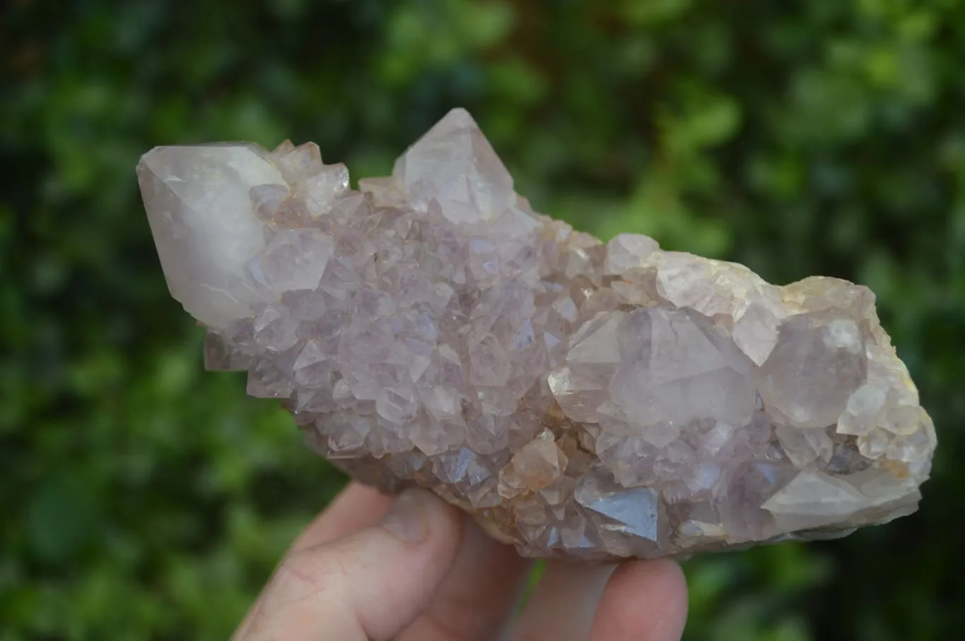 Natural Large Spirit Ametrine Quartz Specimens x 3 From Boekenhouthoek, South Africa