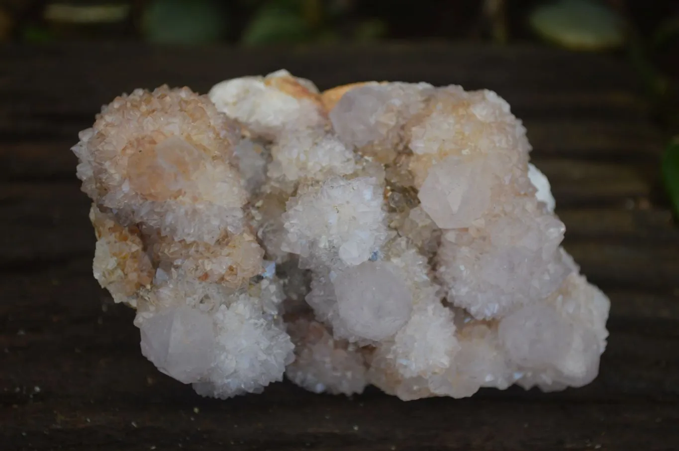 Natural Lilac Spirit Amethyst Quartz Clusters x 6 From Boekenhouthoek, South Africa