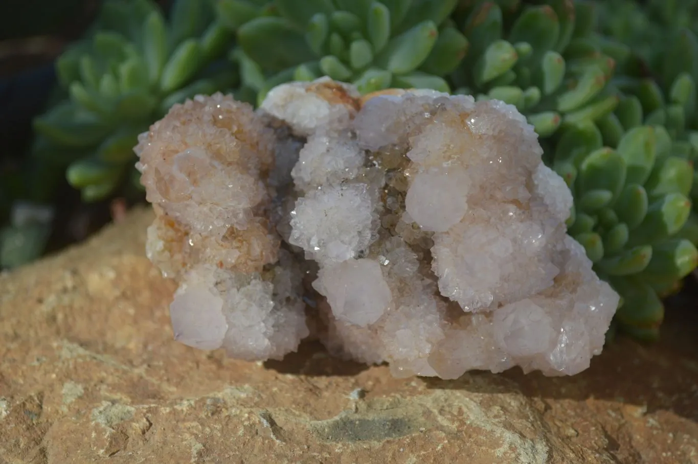 Natural Lilac Spirit Amethyst Quartz Clusters x 6 From Boekenhouthoek, South Africa