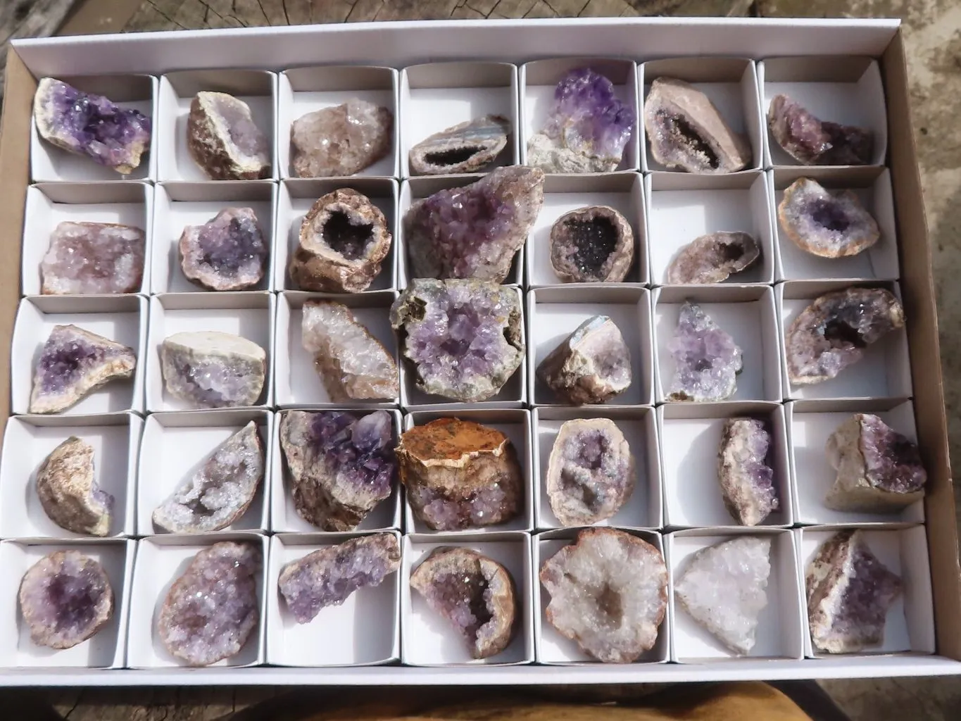 Natural Small Amethyst Geode Specimens x 35 From Zululand, South Africa