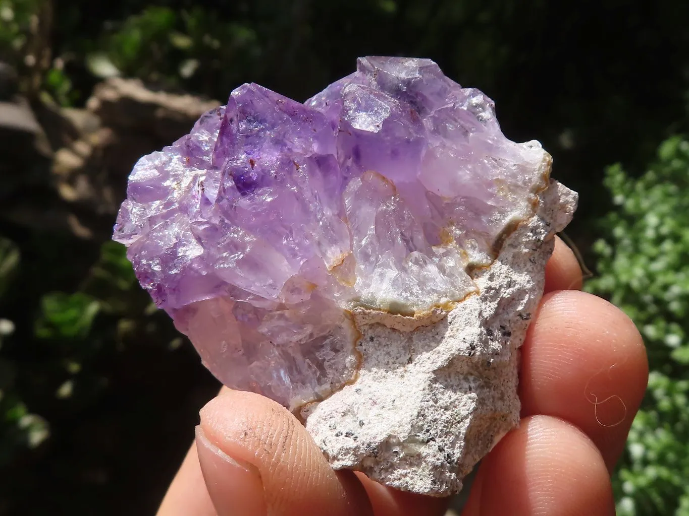 Natural Small Amethyst Geode Specimens x 35 From Zululand, South Africa