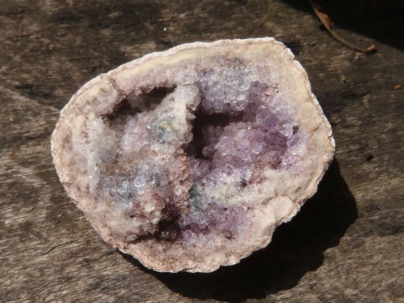 Natural Small Amethyst Geode Specimens x 35 From Zululand, South Africa