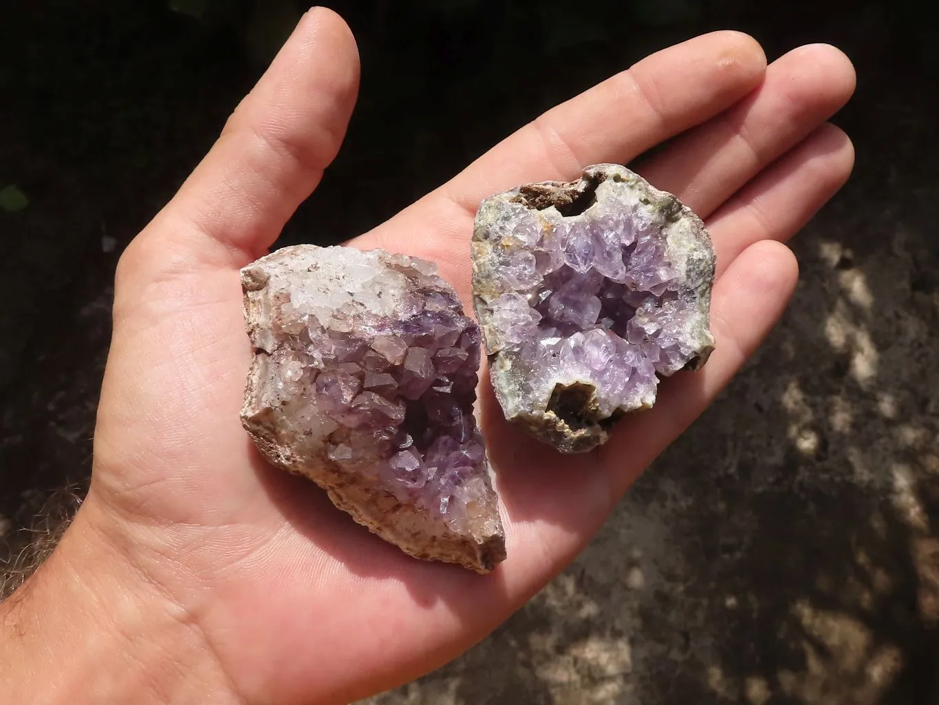 Natural Small Amethyst Geode Specimens x 35 From Zululand, South Africa