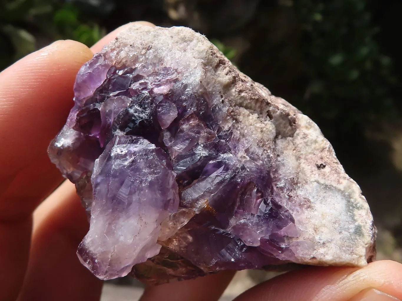 Natural Small Amethyst Geode Specimens x 35 From Zululand, South Africa