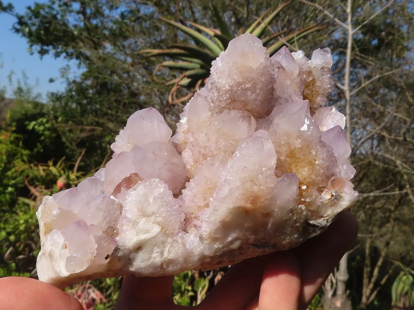 Natural Spirit Amethyst Quartz Clusters x 2 From Boekenhouthoek, South Africa