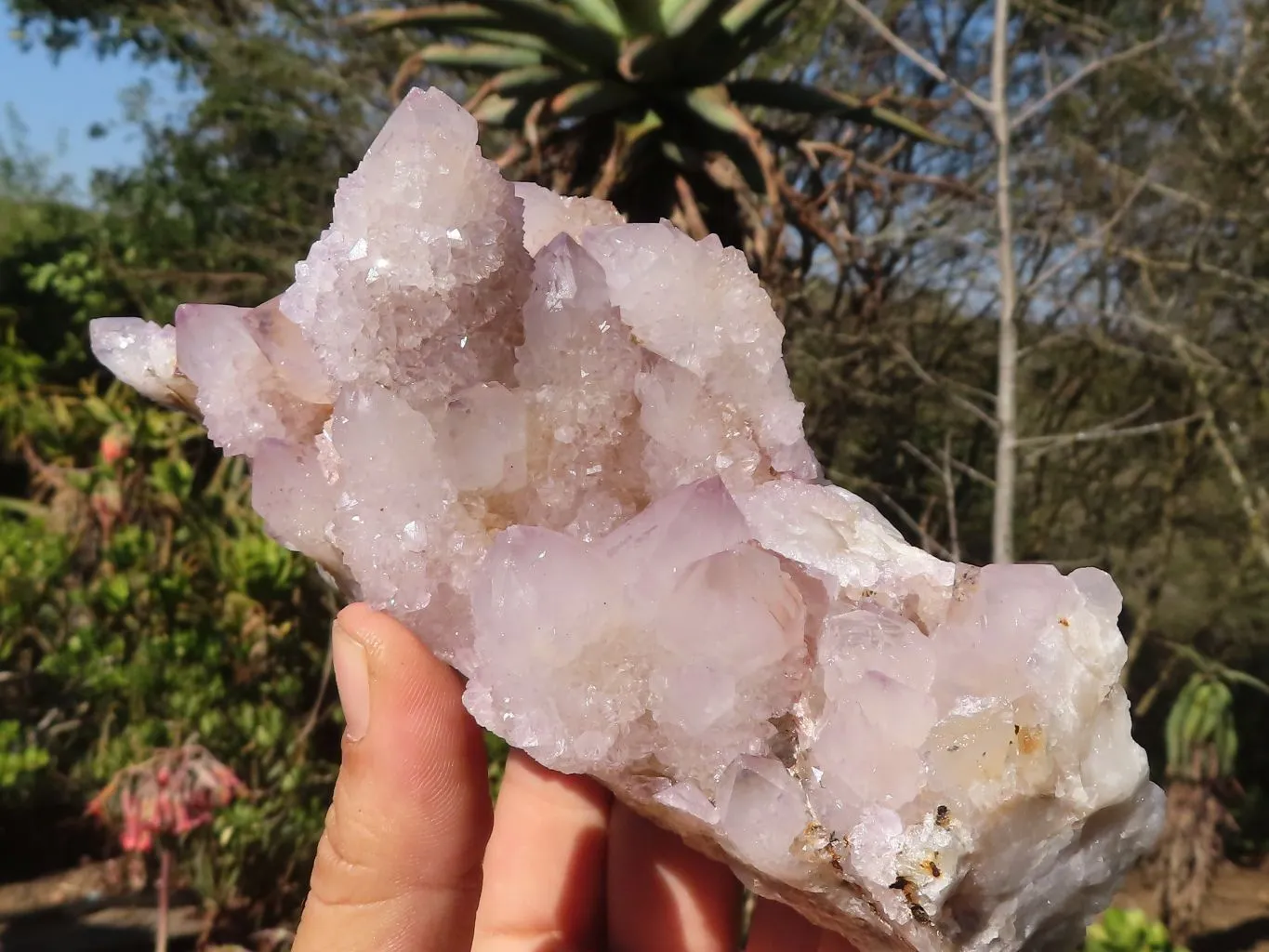 Natural Spirit Amethyst Quartz Clusters x 2 From Boekenhouthoek, South Africa