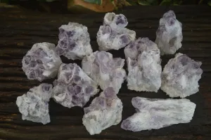 Natural Sugar Amethyst Clusters  x 12 From Zambia