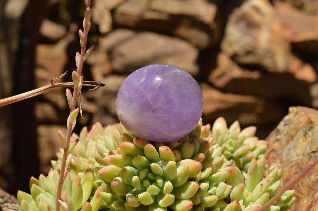 Polished Dream Amethyst Galet / Palm Stones x 20 From Madagascar